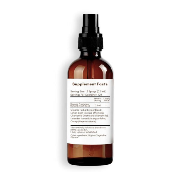 Peaceful for Kids Back